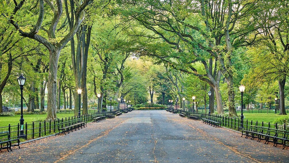 Picture 13 for Activity NYC: Central Park Highlights Guided Tour