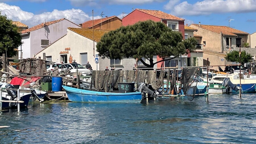 Montpellier : half-day trip walking tour in Sète and oysters