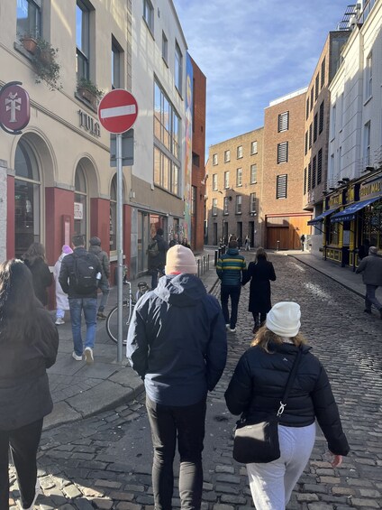 Picture 4 for Activity Dublin: Macabre History Walking Tour