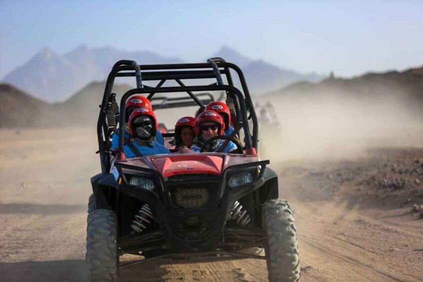 Picture 3 for Activity Sharm El Sheikh: Sunrise Buggy Adventure and Bedouin Tent