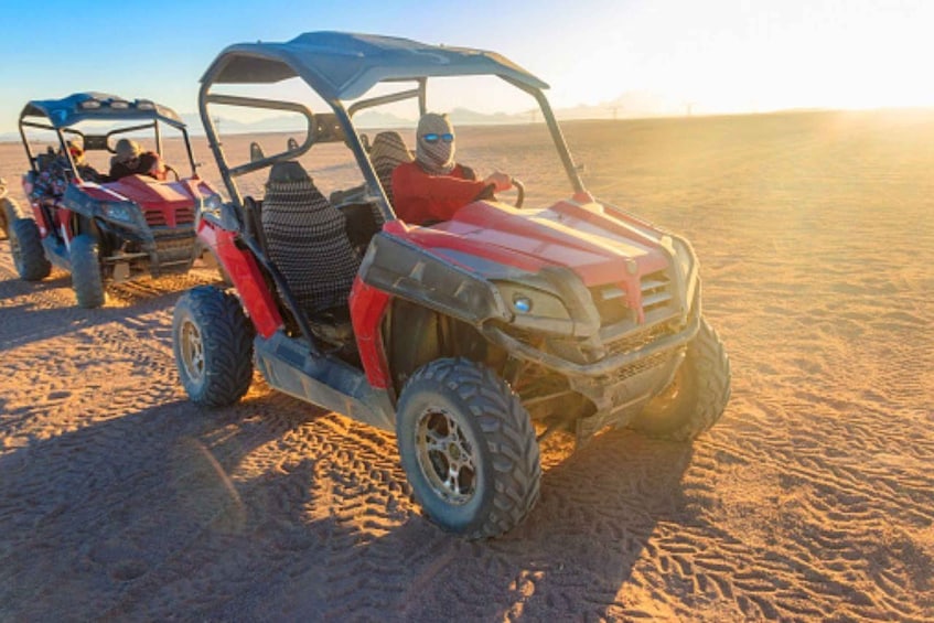 Sharm El Sheikh: Sunrise Buggy Adventure and Bedouin Tent