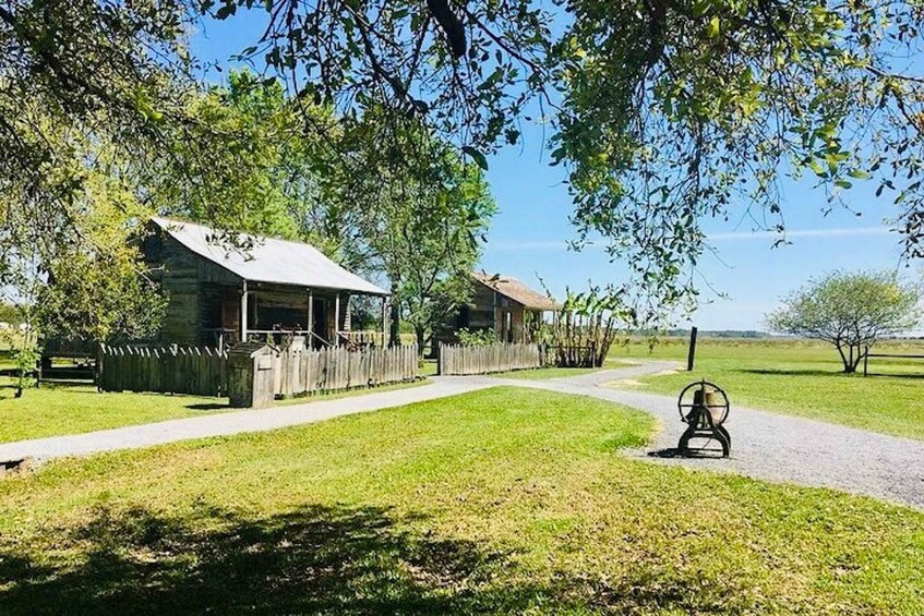 Picture 3 for Activity From New Orleans: Oak Alley or Laura Plantation Tour