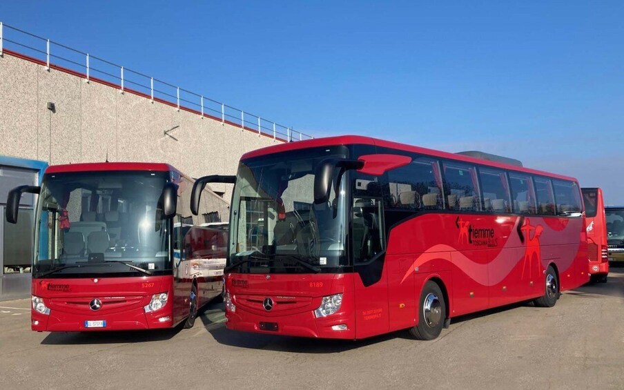 Picture 1 for Activity Rome Fiumicino Airport: Shared Transfer to/from Siena by Bus