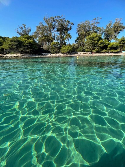 Picture 6 for Activity Boat trip to the Lérins Islands and Cannes