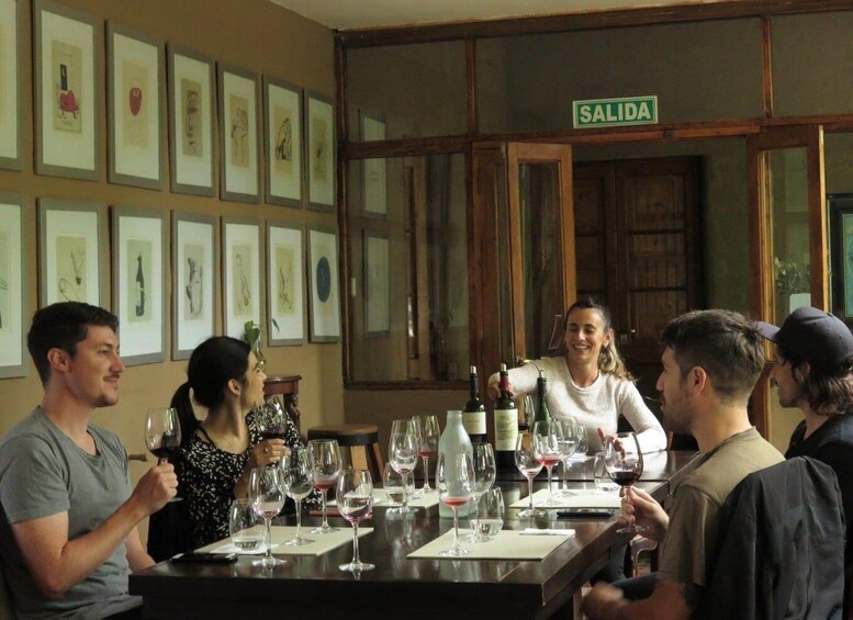 Picture 1 for Activity Mendoza: Private Wine Tour, Tastings and Lunch with Pairings