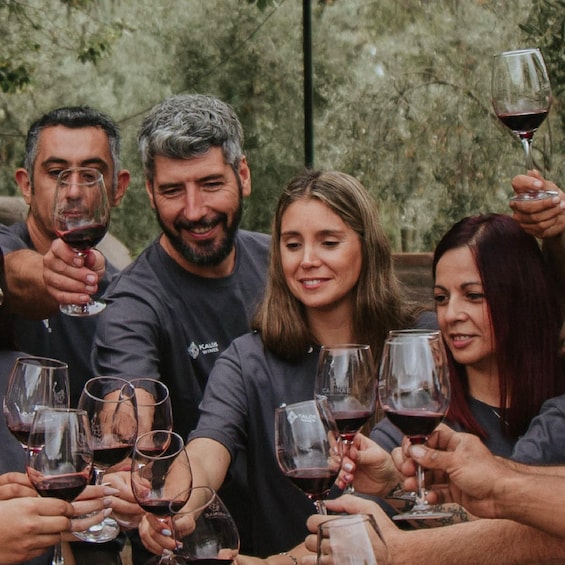 Mendoza: Private Wine Tour, Tastings and Lunch with Pairings