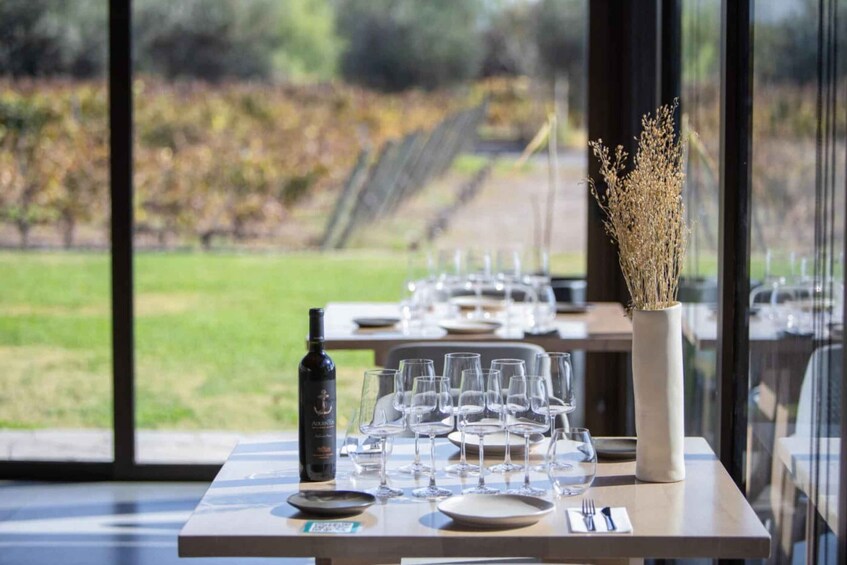 Picture 2 for Activity Mendoza: Private Wine Tour, Tastings and Lunch with Pairings