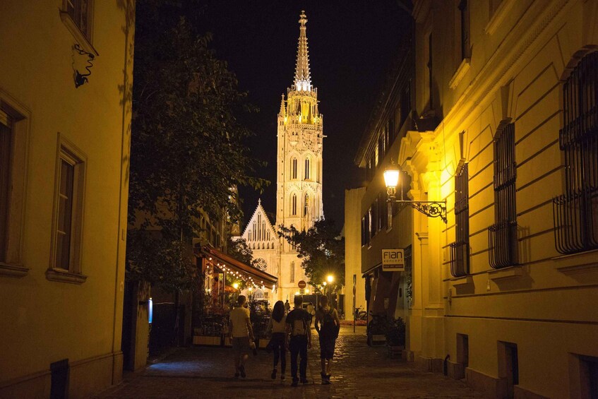 Picture 3 for Activity Budapest: Night Walking Tour with River Cruise and Wine