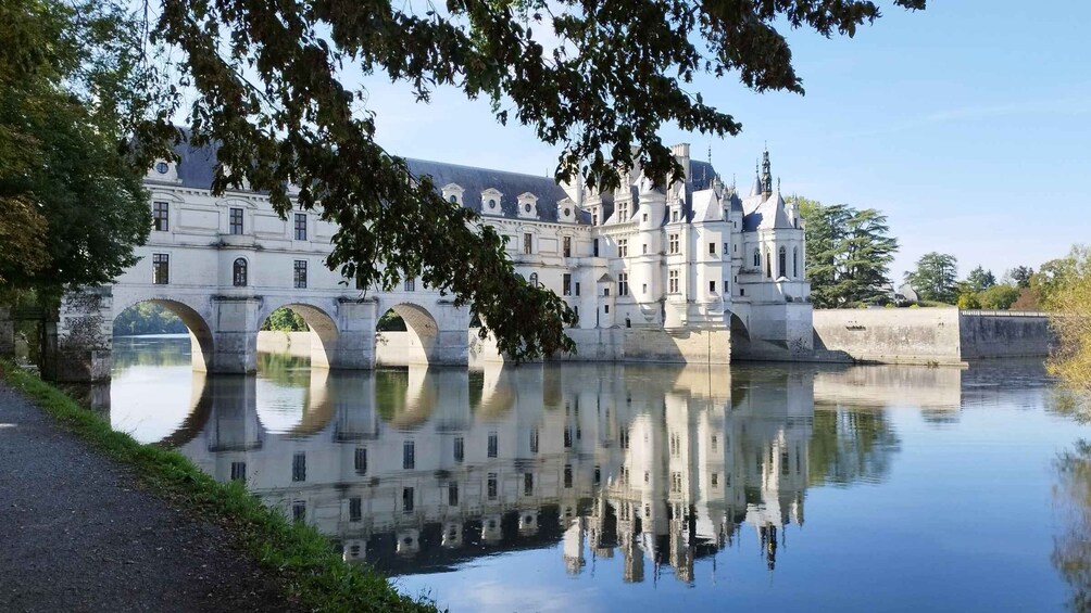 Picture 7 for Activity Chenonceau: guided ebike ride and wine & cheese picnic lunch