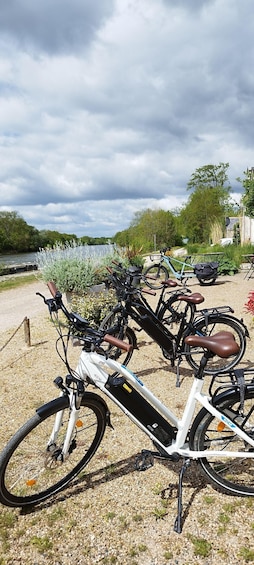 Picture 15 for Activity Chenonceau: guided ebike ride and wine & cheese picnic lunch
