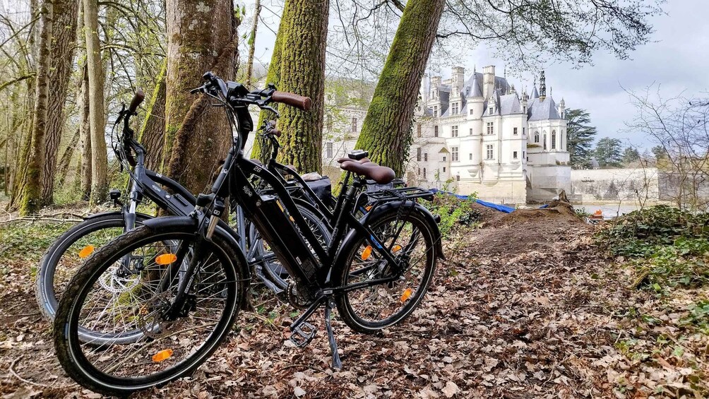 Picture 5 for Activity Chenonceau: guided ebike ride and wine & cheese picnic lunch