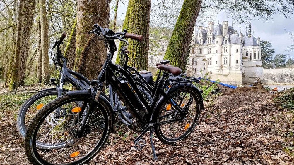 Picture 5 for Activity Chenonceau: guided ebike ride and local wine & cheese picnic