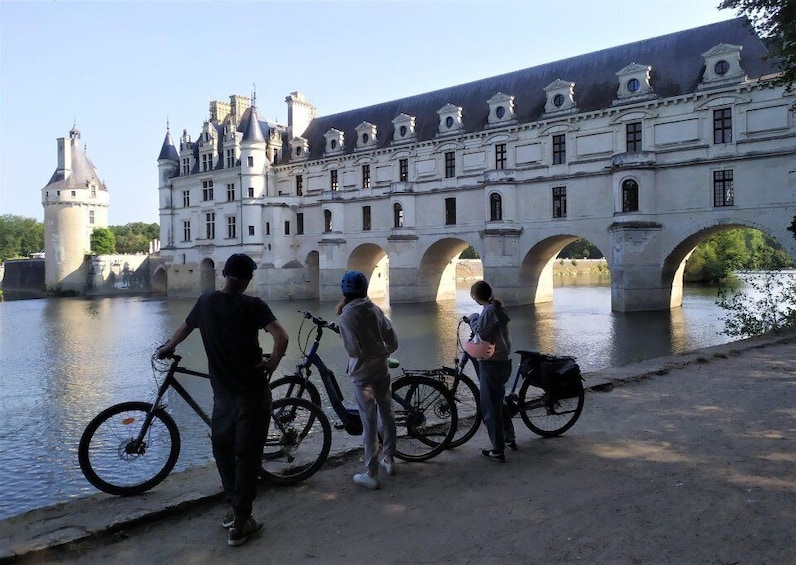 Chenonceau: guided ebike ride and local wine & cheese picnic