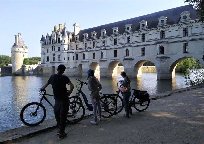 Chenonceau: guided ebike ride and wine & cheese picnic lunch