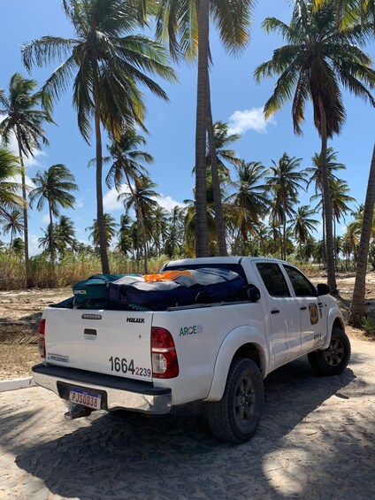 Picture 1 for Activity Transfer compartilhado para Jericoacoara