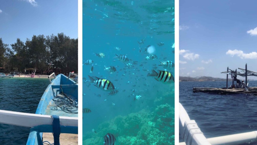 Picture 1 for Activity Snorkeling Boat Tour - Secret Gili Island Hopping