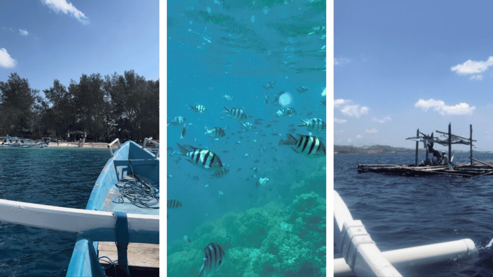 Picture 1 for Activity Secret Gili Islands Private Snorkeling With GoPro