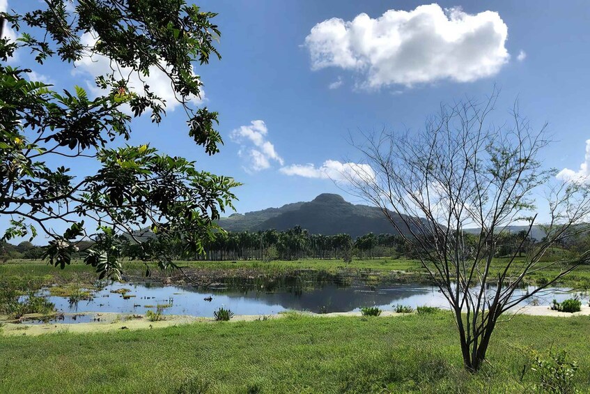 Picture 4 for Activity Puerto Plata Off-Road ATV Adventure