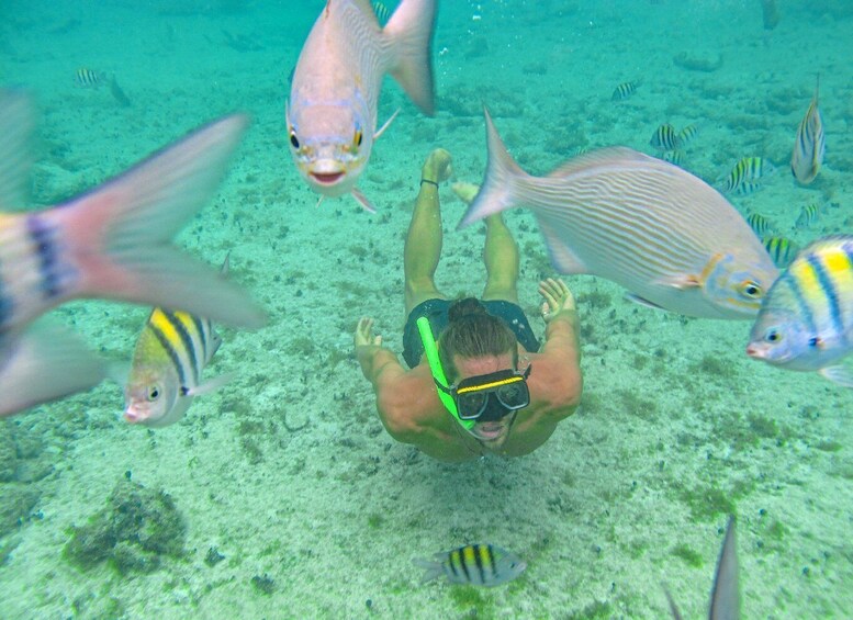 Picture 5 for Activity Cozumel: ATV & Snorkeling Guided Tour with Beach Club Lunch