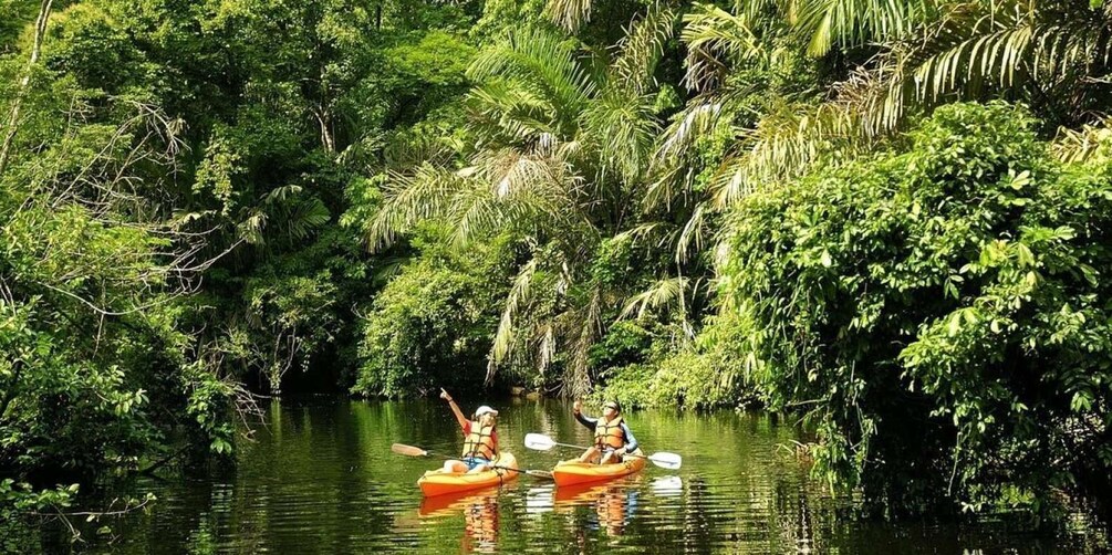 Picture 7 for Activity Uvita: Terraba Sierpe Wildlife Mangrove Kayak Tour CostaRica