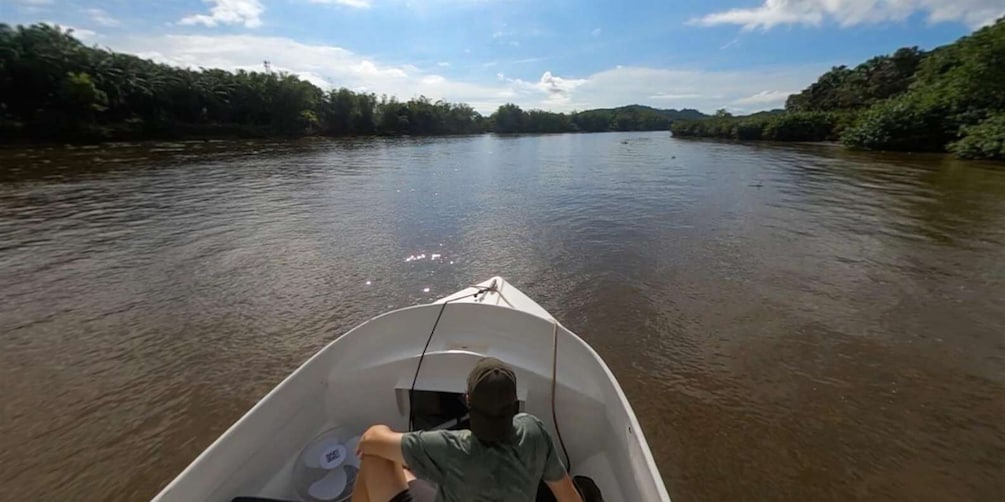 Picture 18 for Activity Uvita: Terraba Sierpe Wildlife Mangrove Kayak Tour CostaRica