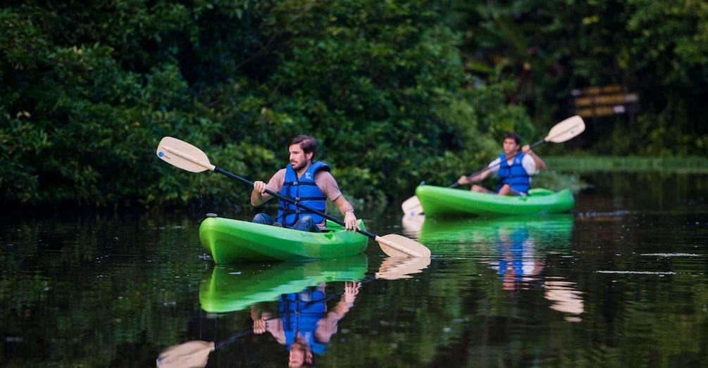 Picture 6 for Activity Uvita: Terraba Sierpe Wildlife Mangrove Kayak Tour CostaRica