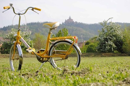 ボローニャ：パノラマ自転車ツアー