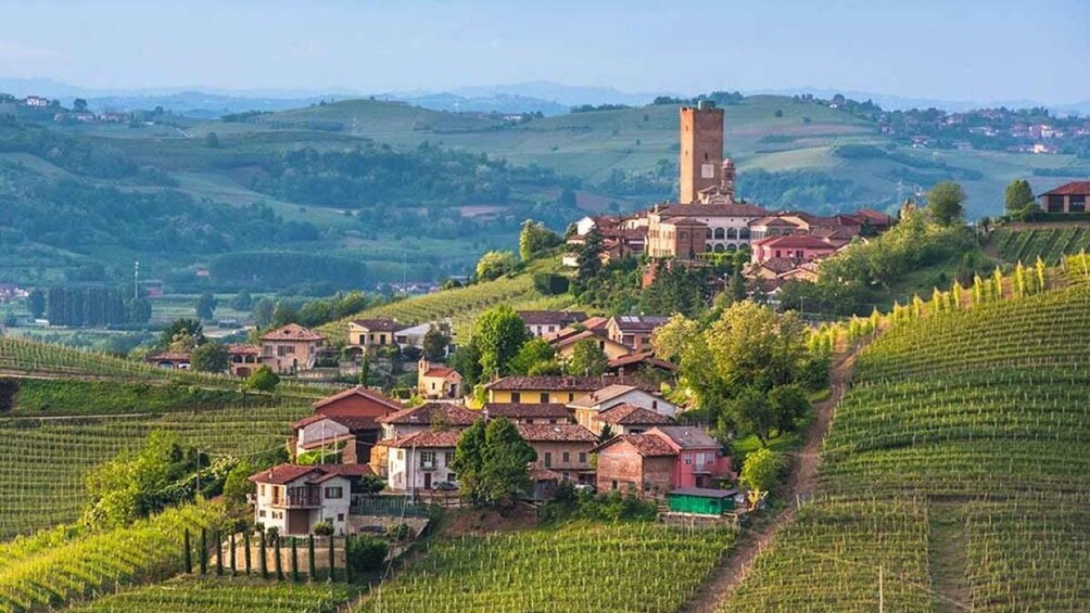 Picture 2 for Activity From Neive: Guided E-Bike Tour to Barbaresco and Treiso