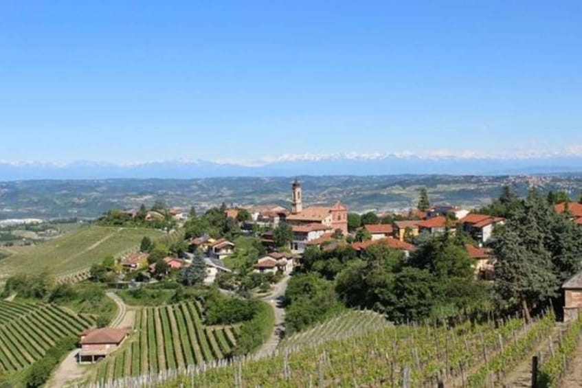 Picture 3 for Activity From Neive: Guided E-Bike Tour to Barbaresco and Treiso