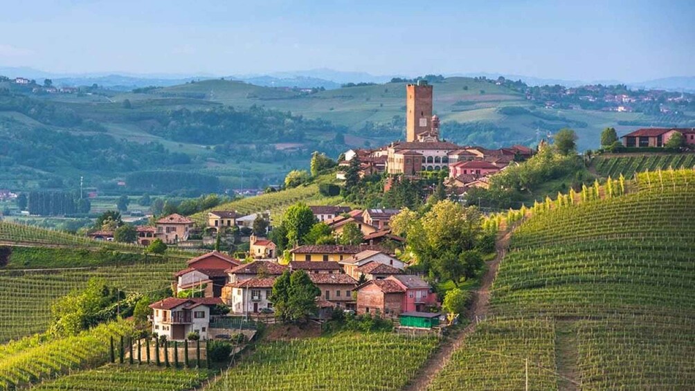 Picture 2 for Activity From Neive: Guided E-Bike Tour to Barbaresco and Treiso