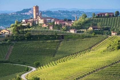 From Neive: Guided E-Bike Tour to Barbaresco and Treiso