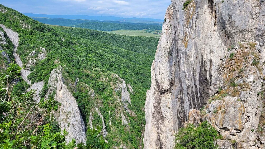 Picture 4 for Activity Cluj Napoca: Climbing or Hiking Experience in Turda Canion