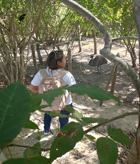 Picture 8 for Activity Cartagena: Daytour Aviary and Playa blanca by bus!