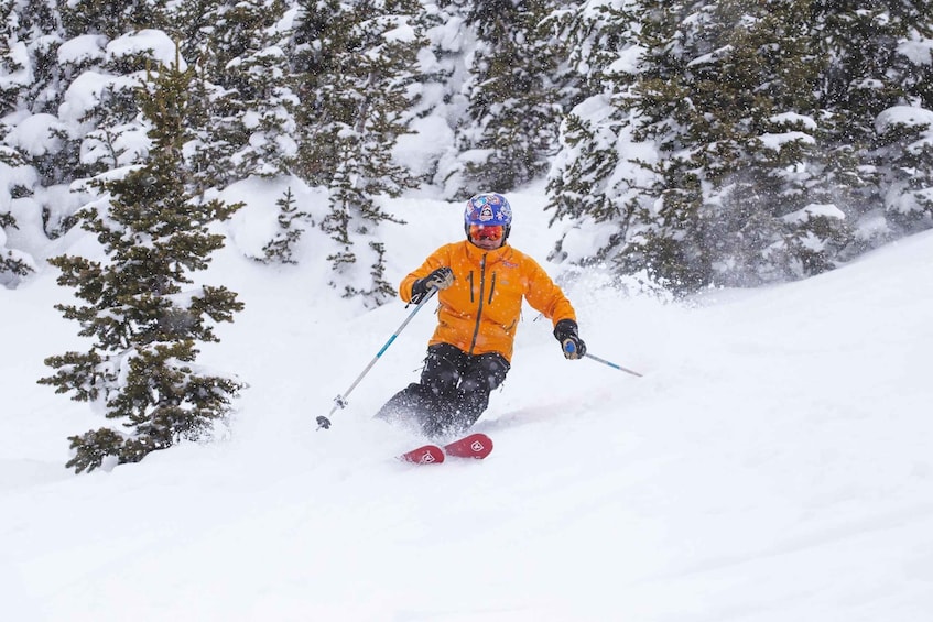 From Jackson: Grand Targhee Resort Round-Trip Ski Bus