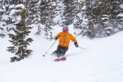 Depuis Jackson : Bus de ski aller-retour de Grand Targhee Resort