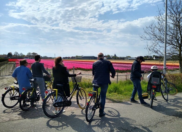 Picture 20 for Activity From Lisse: Flower Bike Tour Along Keukenhof Small Group