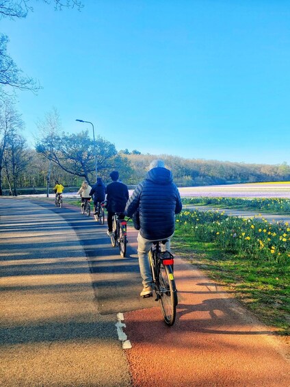 Picture 54 for Activity From Lisse: Flower Bike Tour Around Keukenhof Small Group