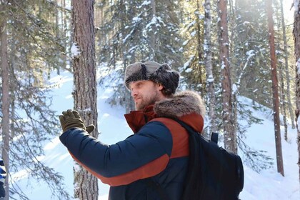 Rovaniemi: Korouoma Canyon Frozen Waterfalls Guided Hike