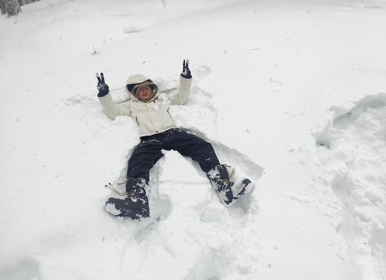 Picture 5 for Activity Rovaniemi: Korouoma Canyon Frozen Waterfalls Guided Hike