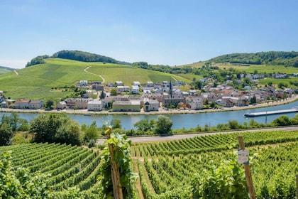 Luxemburg: Mosel-Tagesausflug mit Weinverkostung und Bootstour