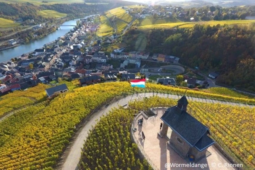 Picture 5 for Activity Luxembourg: Moselle Day Trip with Wine Tasting and Boat Tour