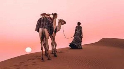 Peaceful & Amazing Non-touristic Desert Safari Experience