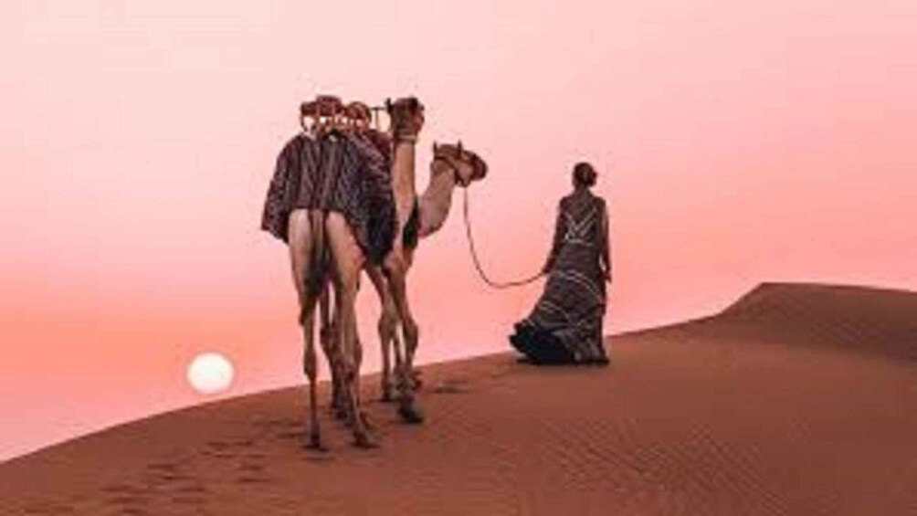 Picture 1 for Activity Peaceful & Amazing Non-touristic Desert Safari Experience