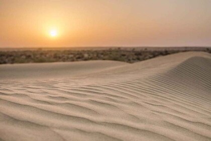 Peaceful & Amazing Non-touristic Desert Safari Experience