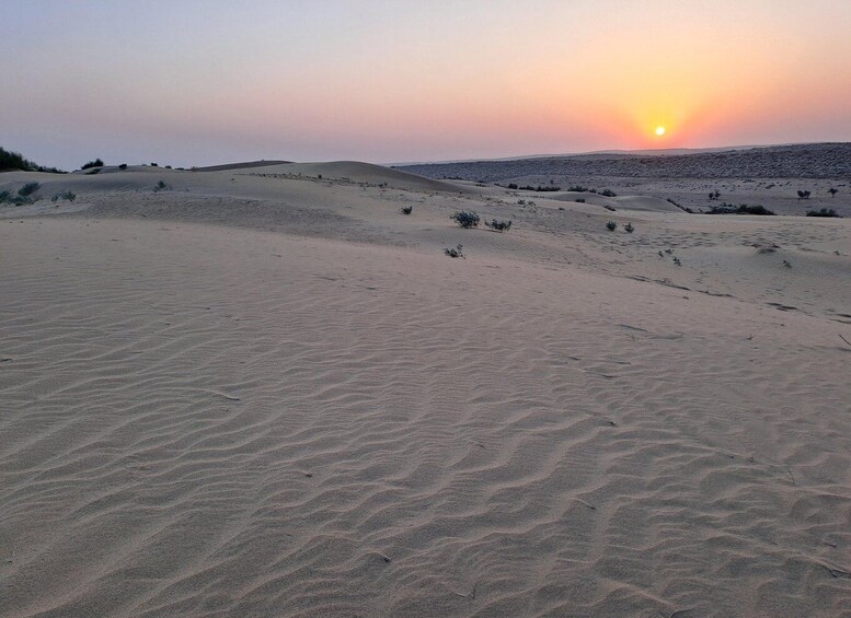 Picture 22 for Activity Peaceful & Amazing Non-touristic Desert Safari Experience