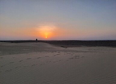 Peaceful & Amazing Non-touristic Desert Safari Experience