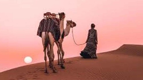 Peaceful & Amazing Non-touristic Desert Safari Experience