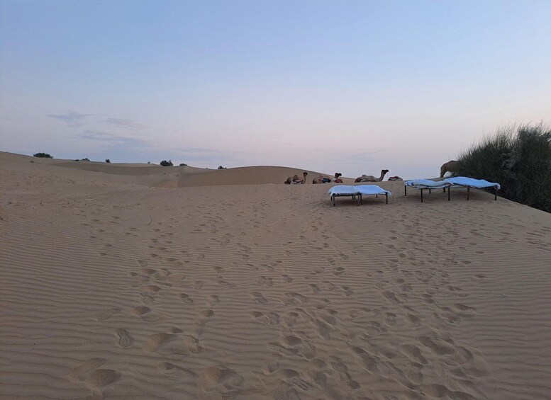 Picture 20 for Activity Peaceful & Amazing Non-touristic Desert Safari Experience