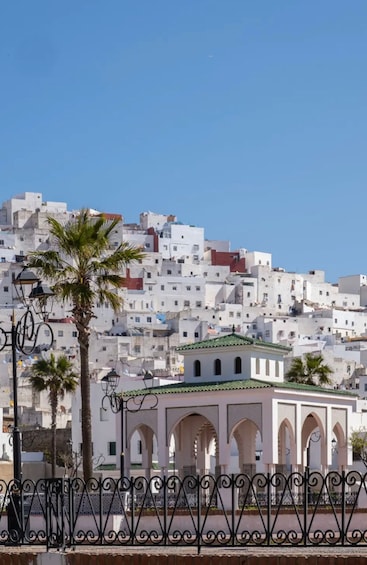 Picture 2 for Activity Tetouan Medina: Private cultural & food tasting guided tour