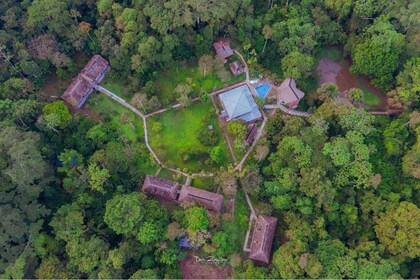 2 días completos en Amazon: Explore la selva tropical de Ecuador desde Quit...